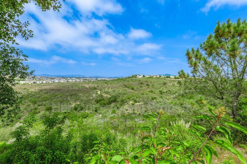 Stunning Carmel Valley Rental with Canyon & Mountain Views property image