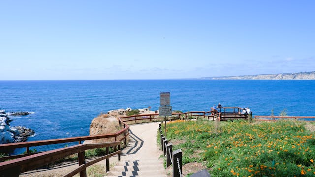 Scenic View of La Jolla Cove in San Diego