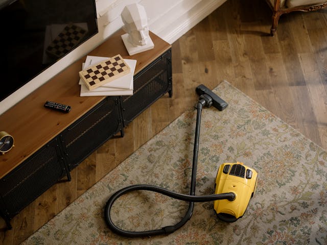 vacuum cleaner on rug